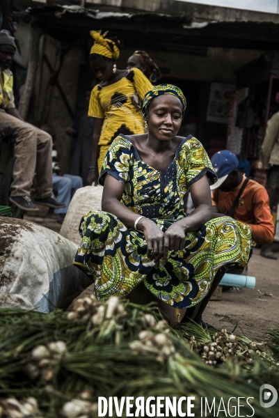 L agriculture au Mali