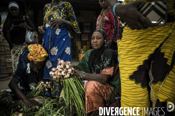 L agriculture au Mali