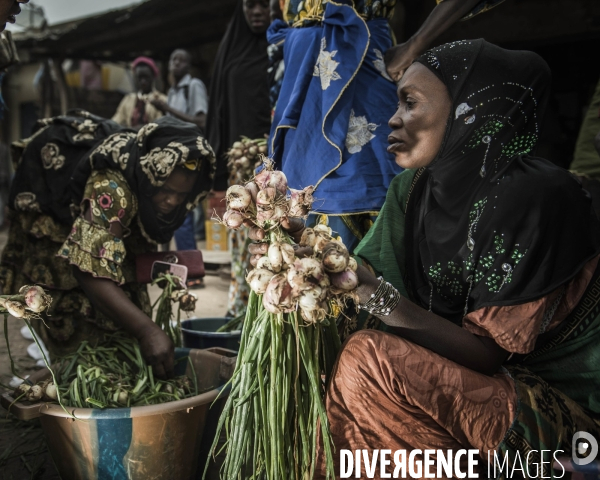 L agriculture au Mali