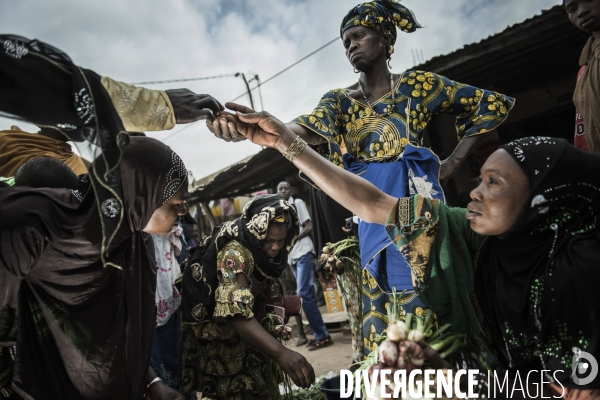 L agriculture au Mali