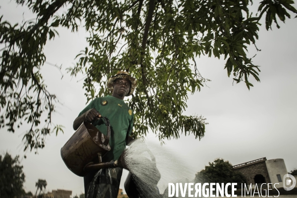 L agriculture au Mali