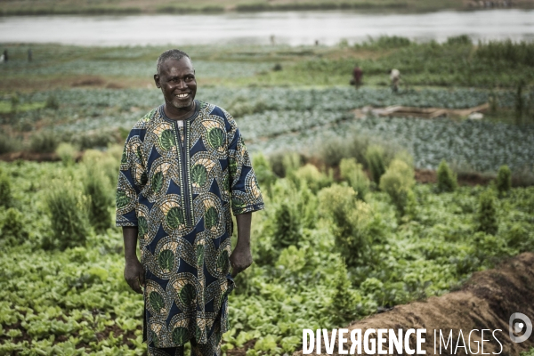 L agriculture au Mali