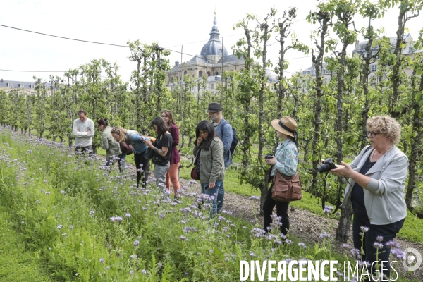 Le potager du roi a versailles