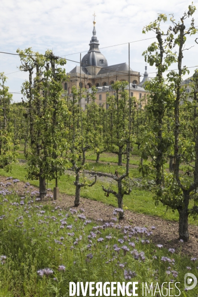 Le potager du roi a versailles