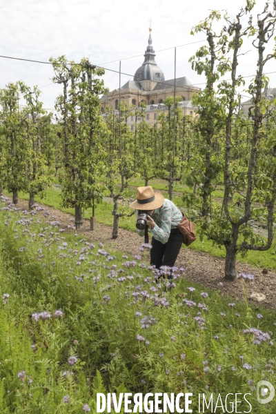 Le potager du roi a versailles