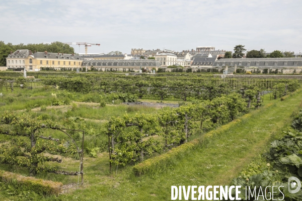 Le potager du roi a versailles