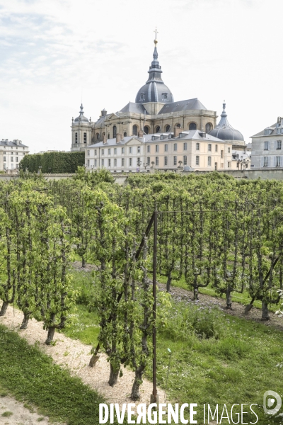 Le potager du roi a versailles