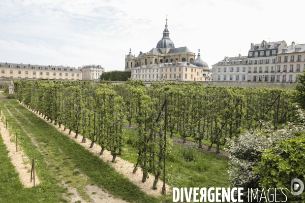 Le potager du roi a versailles