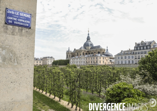 Le potager du roi a versailles