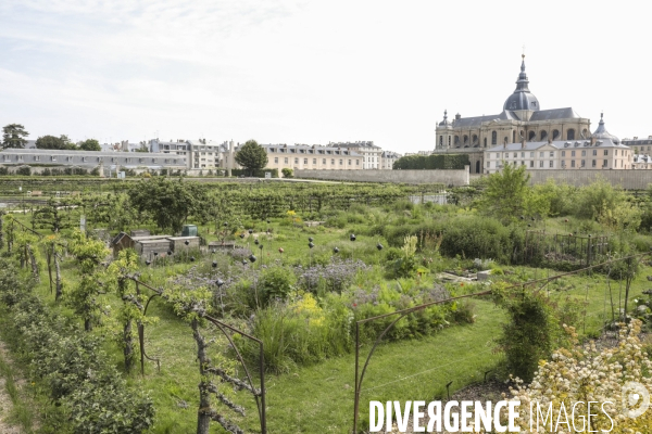 Le potager du roi a versailles