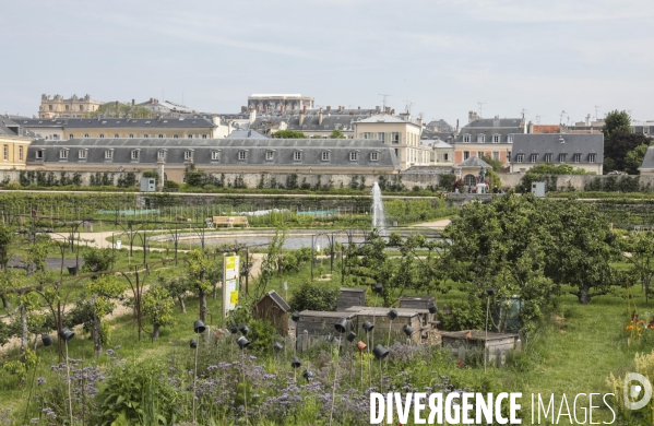 Le potager du roi a versailles