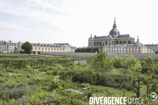 Le potager du roi a versailles