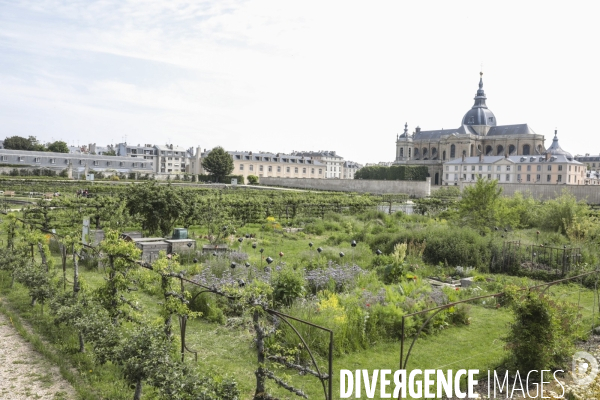 Le potager du roi a versailles