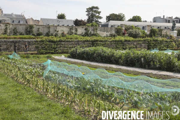 Le potager du roi a versailles