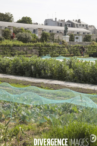 Le potager du roi a versailles