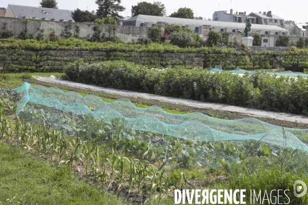 Le potager du roi a versailles