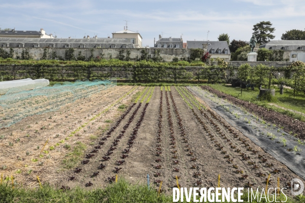 Le potager du roi a versailles