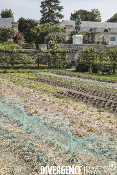 Le potager du roi a versailles