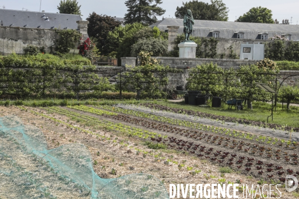 Le potager du roi a versailles