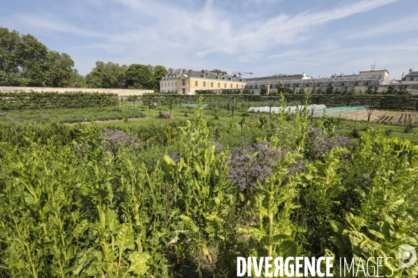 Le potager du roi a versailles