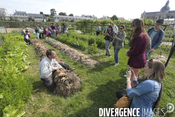 Le potager du roi a versailles