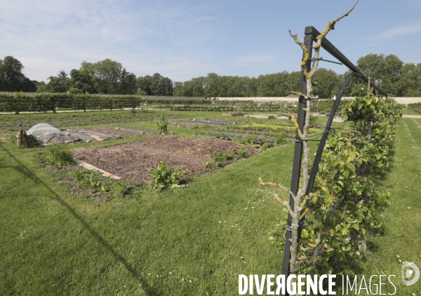 Le potager du roi a versailles