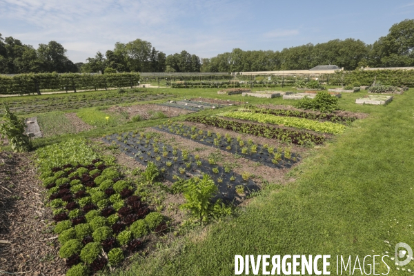 Le potager du roi a versailles