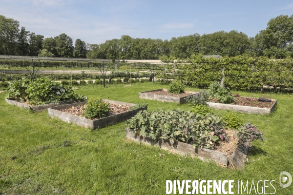 Le potager du roi a versailles