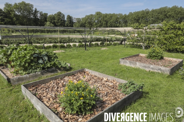 Le potager du roi a versailles