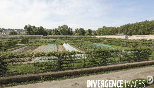 Le potager du roi a versailles