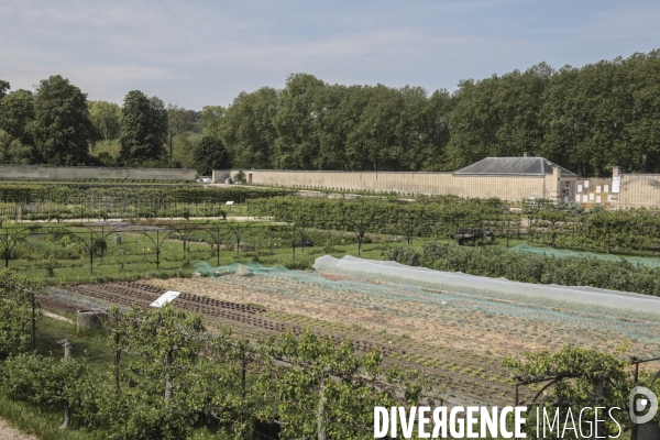 Le potager du roi a versailles