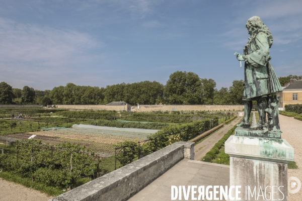 Le potager du roi a versailles