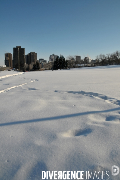 Montréal en hiver, Janvier 2009
