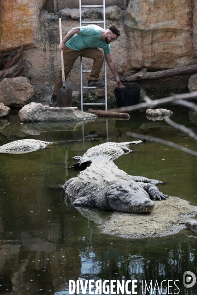 A la découverte de la ferme aux crocodiles