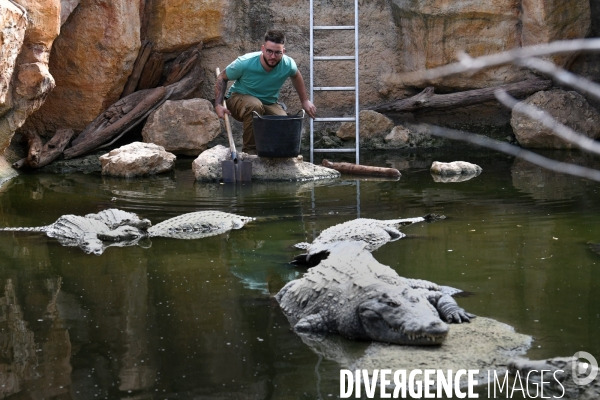 A la découverte de la ferme aux crocodiles