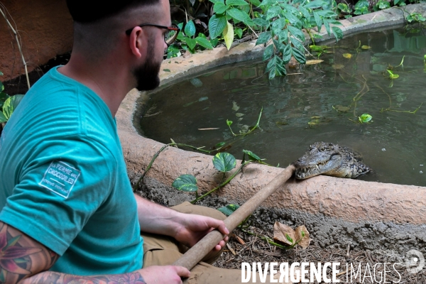 A la découverte de la ferme aux crocodiles