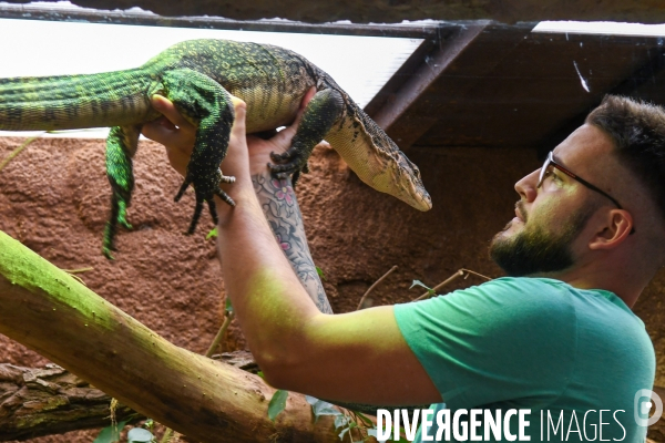 A la découverte de la ferme aux crocodiles