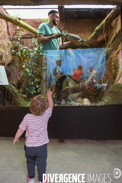 A la découverte de la ferme aux crocodiles