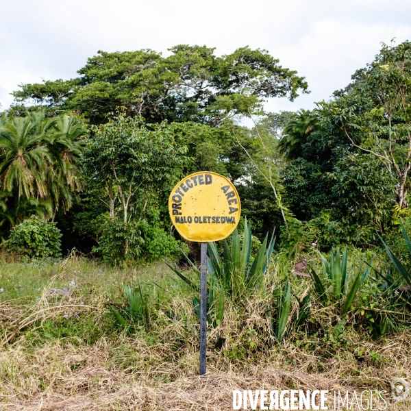 Région de Thyolo, Malawi