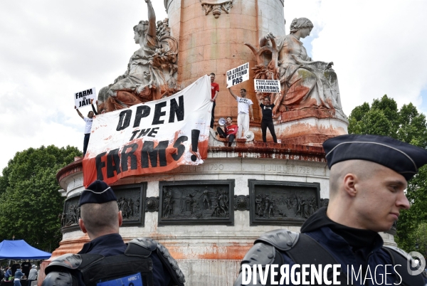 Action Boucherie Abolition, des militants animalists dénoncent l exploitation des animaux. Animals rights.
