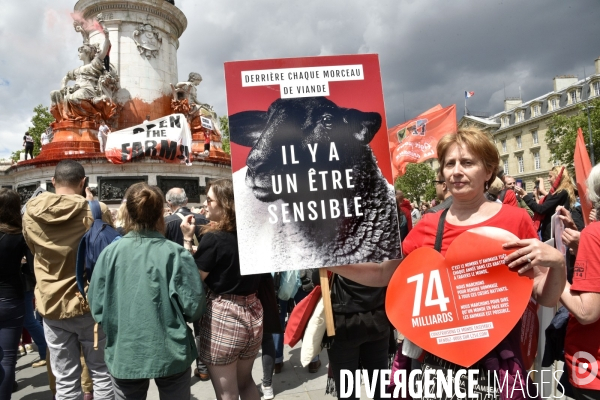 Action Boucherie Abolition, des militants animalists dénoncent l exploitation des animaux. Animals rights.