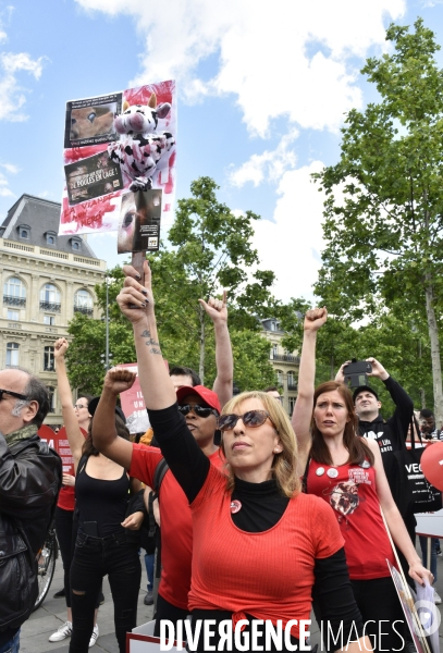 Marche L214 pour la fermeture des abattoirs 2019. Walk to the closure of slaughterhouses.