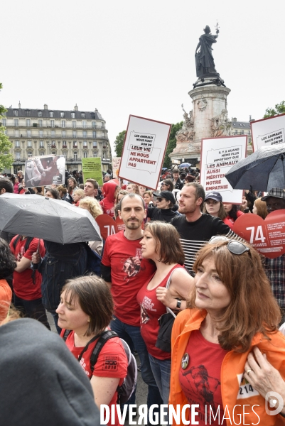 Marche L214 pour la fermeture des abattoirs 2019. Walk to the closure of slaughterhouses.