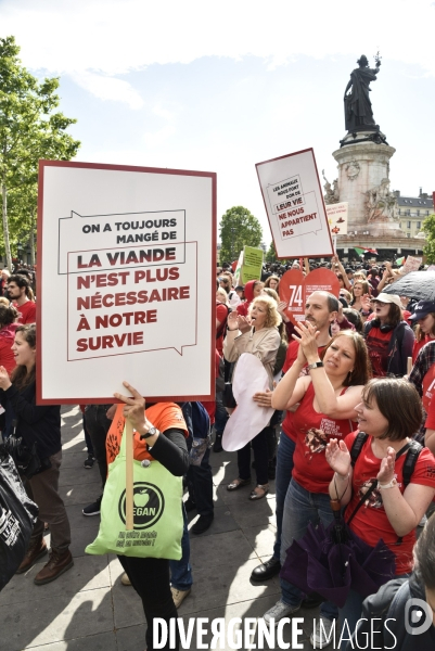 Marche L214 pour la fermeture des abattoirs 2019. Walk to the closure of slaughterhouses.