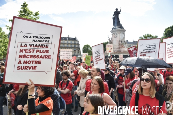 Marche L214 pour la fermeture des abattoirs 2019. Walk to the closure of slaughterhouses.