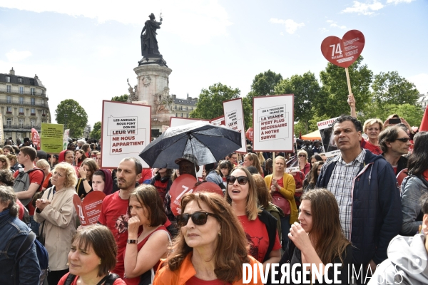 Marche L214 pour la fermeture des abattoirs 2019. Walk to the closure of slaughterhouses.