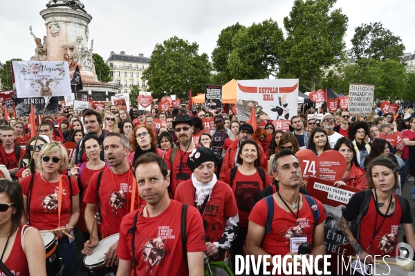 Marche L214 pour la fermeture des abattoirs 2019. Walk to the closure of slaughterhouses.