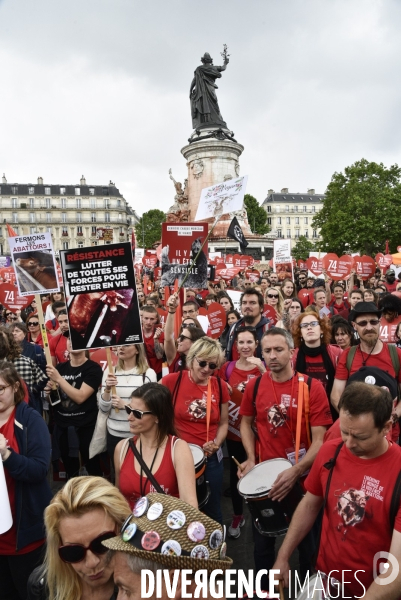 Marche L214 pour la fermeture des abattoirs 2019. Walk to the closure of slaughterhouses.