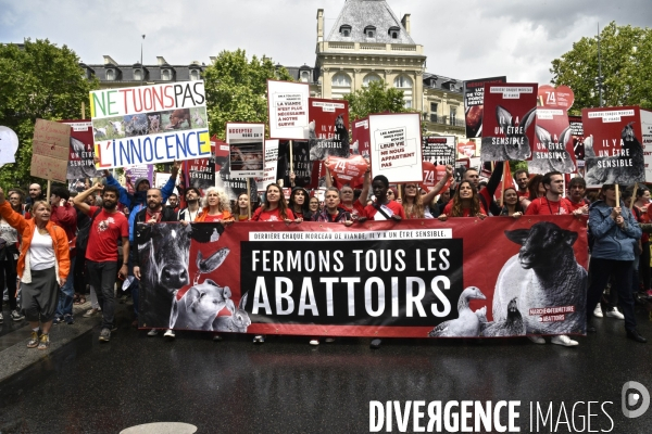 Marche L214 pour la fermeture des abattoirs 2019. Walk to the closure of slaughterhouses.