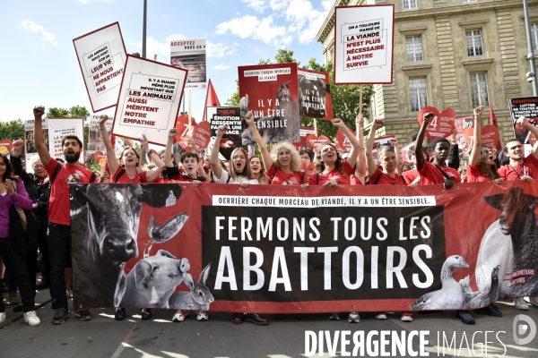 Marche L214 pour la fermeture des abattoirs 2019. Walk to the closure of slaughterhouses.